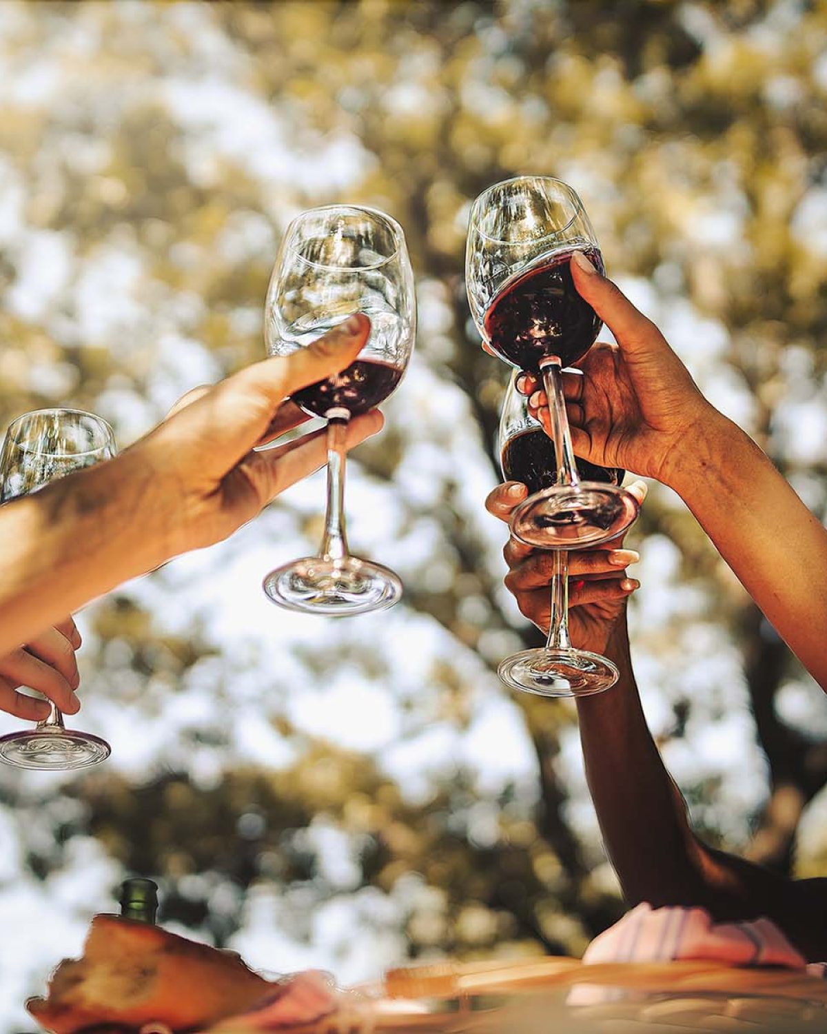 imagen-vino